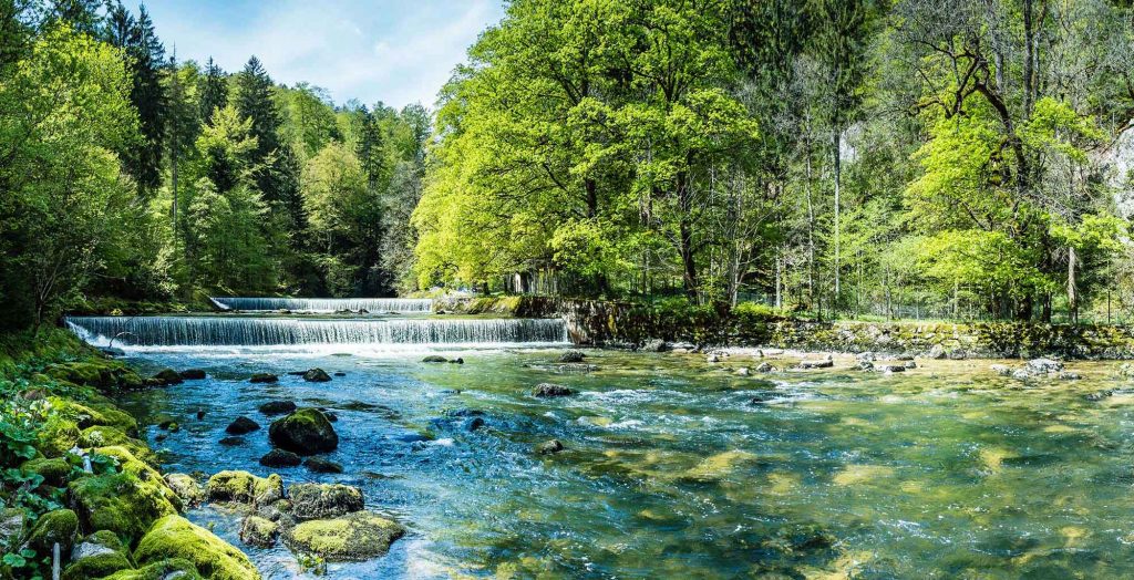 Ein Fluss symbolisch für ökologisches Denken
